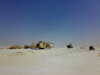 The Site